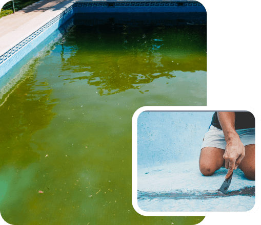 pool looking tired and dirty